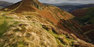Image result for Long Mynd