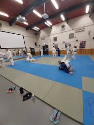 Image result for Worthing judo club