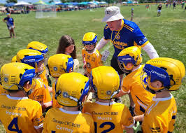 Image result for Neasden Gaels