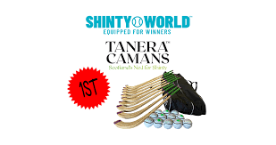 Image result for Lochcarron Camanachd