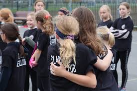 Image result for Sydenham Ladies Netball Club