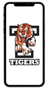 Image result for Telford Tigers