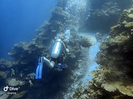 Image result for Hartlepool Divers Bsac Branch 0985