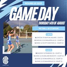 Image result for Alderman Smith School & Sports College Netball Club