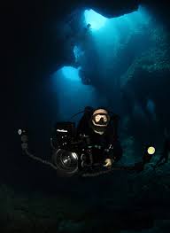 Image result for Worcester Divers Octopush Club