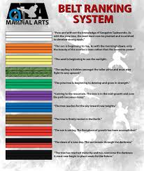 Image result for ATA Martial Arts Manchester