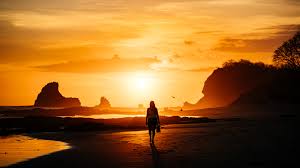 Image result for photos