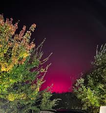 Afbeeldingsresultaat voor northern lights tomato