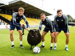 Image result for Harrogate Scrabble Club