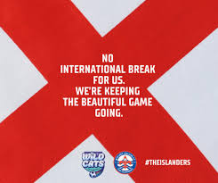 Image result for Byfleet Village Football Club