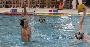 Image result for Frome Waterpolo Club