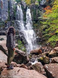 Image result for cascate del dardagna