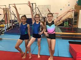 Image result for Zodiac Gymnastics Club