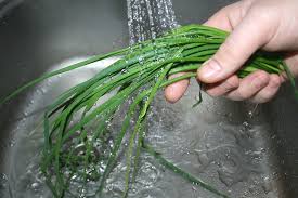 Image result for Schnittlauch