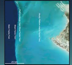 Image result for платформа Андрос