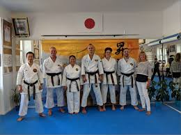Image result for Ynys Mon Shukokai Karate Club, North Wales