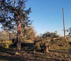 Image result for Exeter Storm