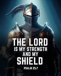 Image result for Personal Assurance Knights