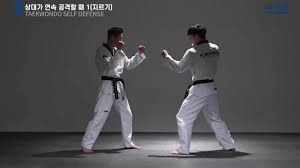 Image result for Tkd Self Defense