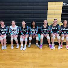Image result for Chesterfield Cobras Volleyball Club