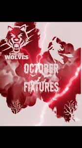 Image result for Stirling Wolves