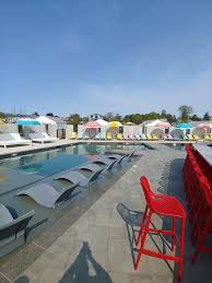 Image result for York University Pool Club