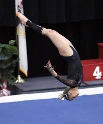 Image result for Hinckley Gymnastics Club