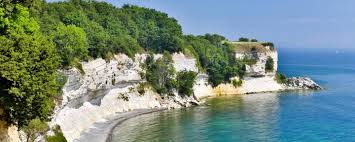 Image result for stevns klint