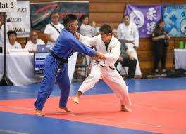 Image result for Aylwin Judo Club