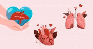 Image result for doação de órgãos