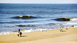 Image result for Uwe Surf Club