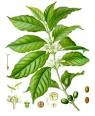 Plant Resistence Genes Project