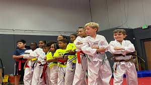 Image result for White Tiger Martial Arts