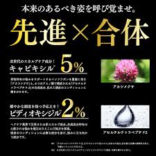 「フィン・エ・ルド・シ・ディセルマイ」の画像検索結果