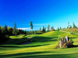 Image result for White Horse Model Club