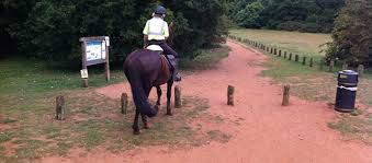 Image result for Bookham Riding School
