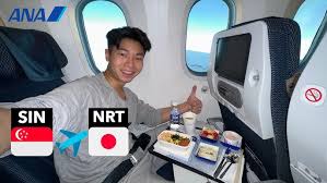 Image result for ana