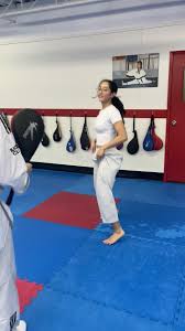 Image result for Han Wong Tae Kwon Do Academy