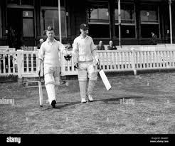 Image result for Ingleby Greenhow Cricket Club