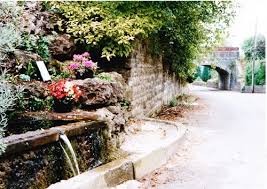 Image result for Chilcompton Netball Club