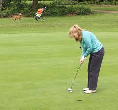Image result for Redhill Golf Centre