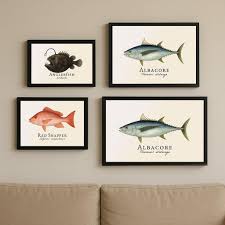 Image result for Thunnus alalunga