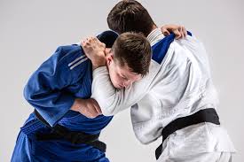 Image result for Samurai Judo Club