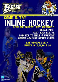 Image result for Dundee Ducks inline roller hockey club