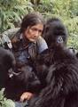 Democratic Underground - So Dian Fossey's murderer finally won't ...