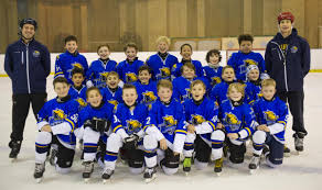 Image result for Haringey Junior Ice Hockey Club