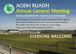 Image result for Aodh Ruadh Clg