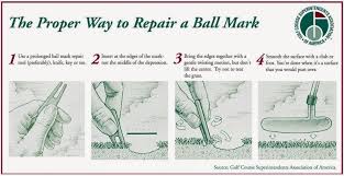 Image result for Pitch marking blog