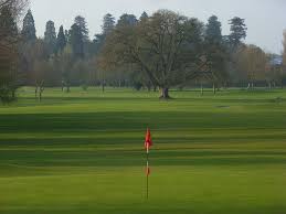 Image result for Downshire Golf Complex