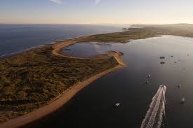 Image result for Dawlish Sc